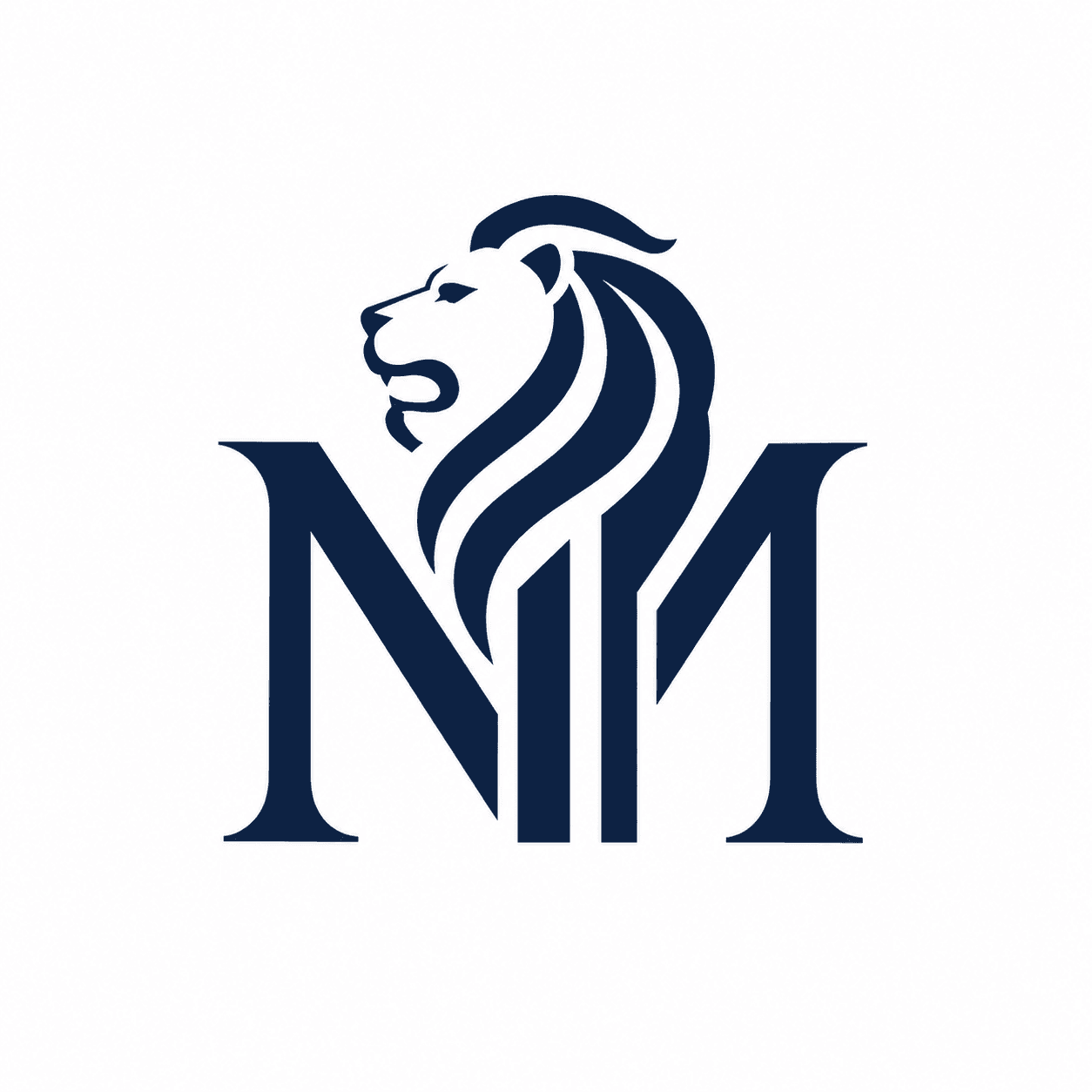 Merlion Asset Holdings